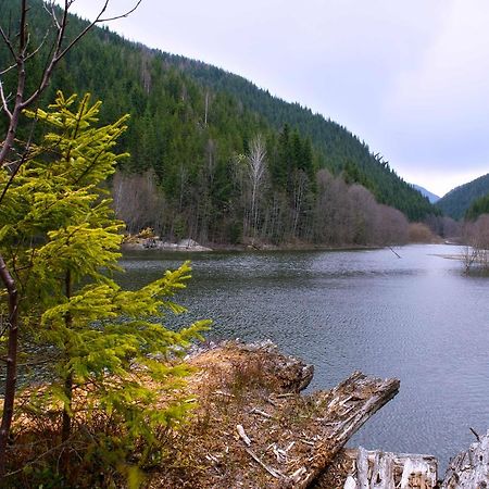 Dream Hostel Carpathians ラーヒフ エクステリア 写真