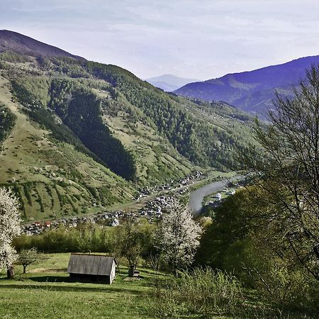 Dream Hostel Carpathians ラーヒフ エクステリア 写真