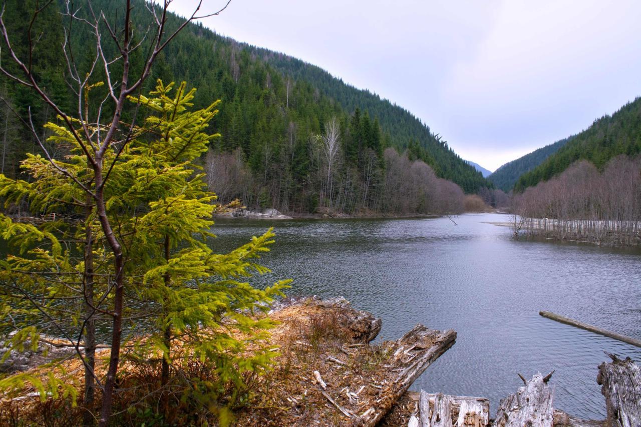 Dream Hostel Carpathians ラーヒフ エクステリア 写真