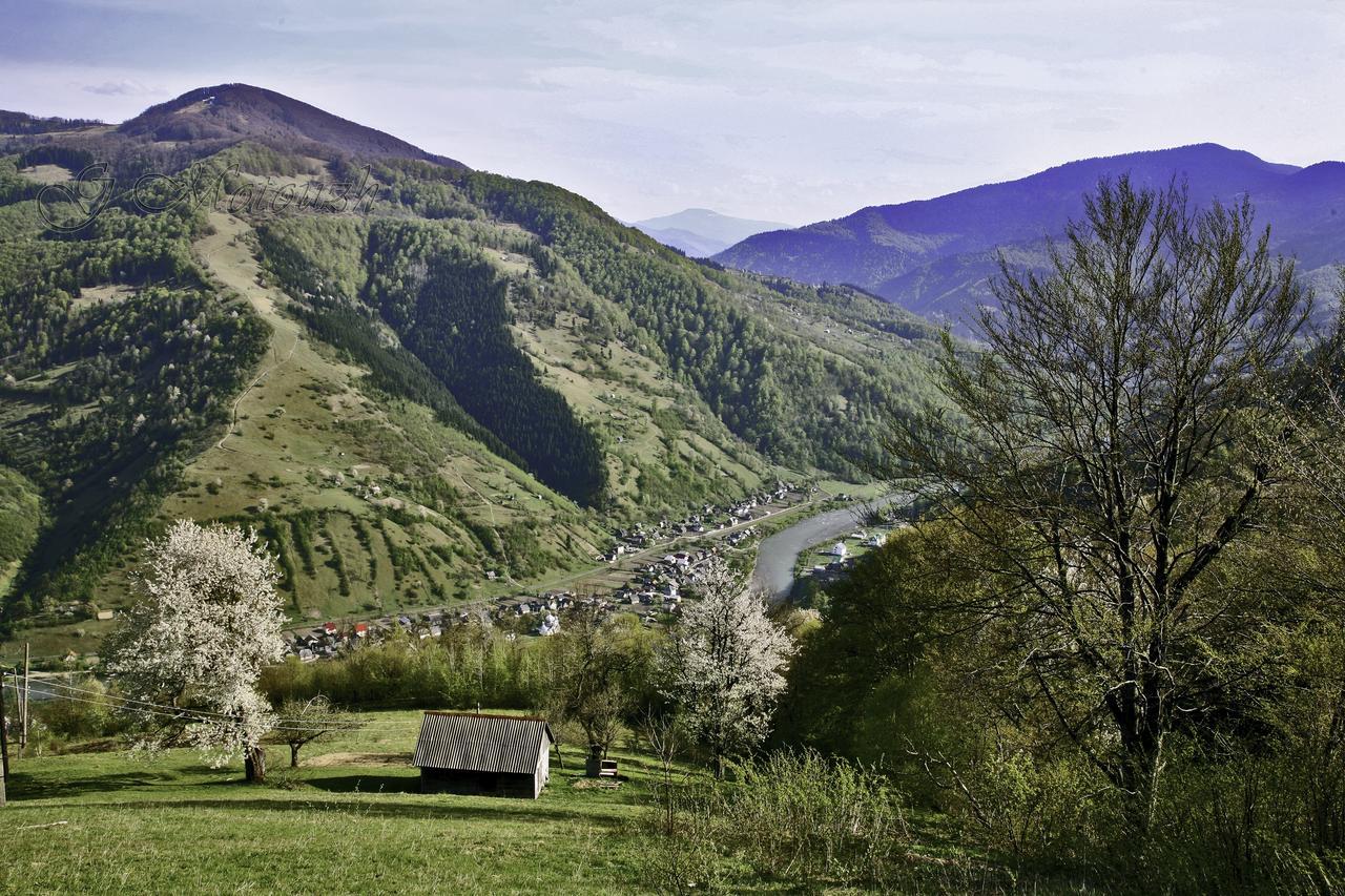 Dream Hostel Carpathians ラーヒフ エクステリア 写真